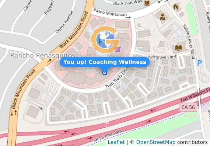 You up! Coaching Wellness