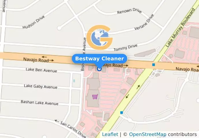 Bestway Cleaner